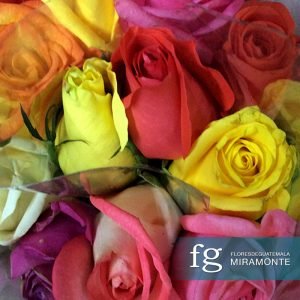 Flores de guatemala - rosas
