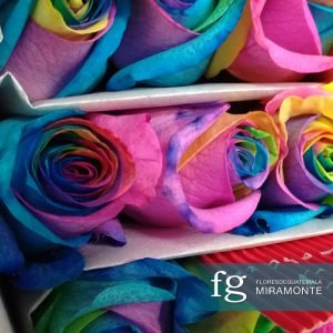flores de guatemala rosas de ecuador