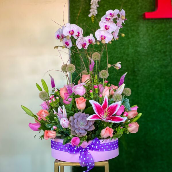 Magia floral con orquídea
